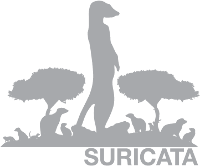 suricata ids install